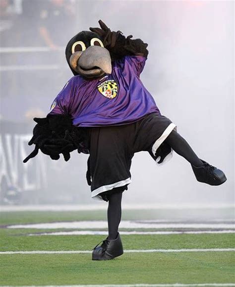 Ravens mascot tryputs